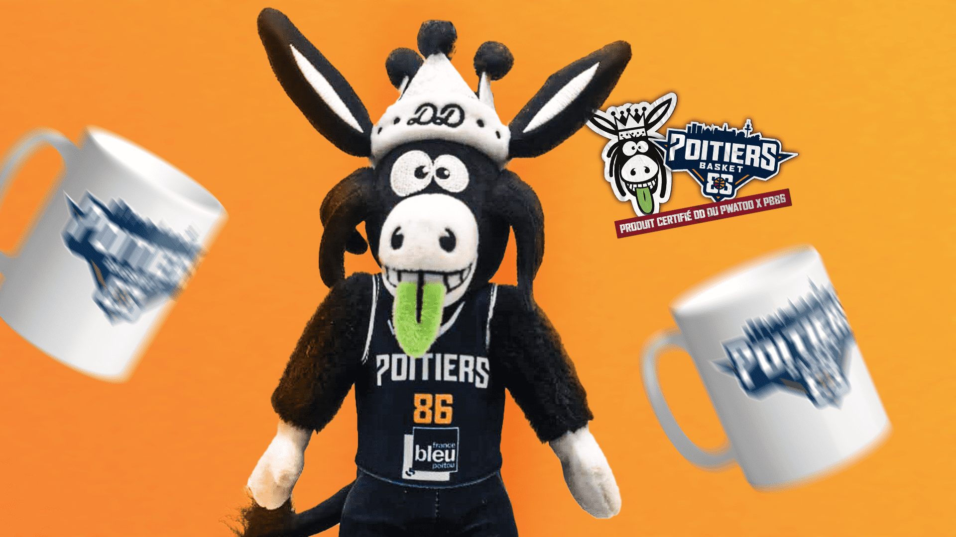 Lancement de notre boutique en ligne