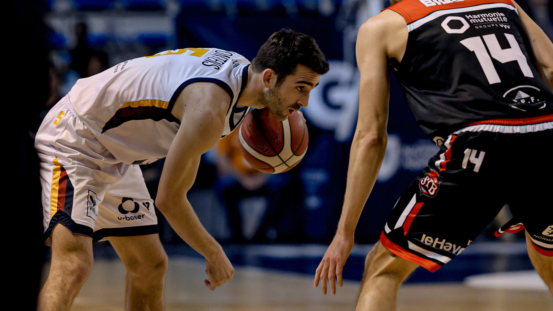 Le PB va tenter de prendre sa revanche contre Mulhouse – L&rsquo;œil de Jeffrey