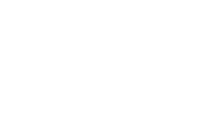 Logo FL Stratégies