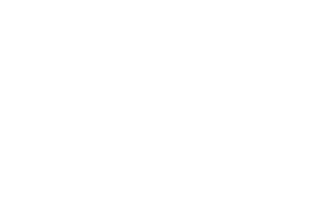 Logo Neolis