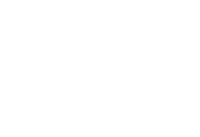 Logo IDV