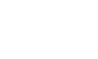Logo NAE
